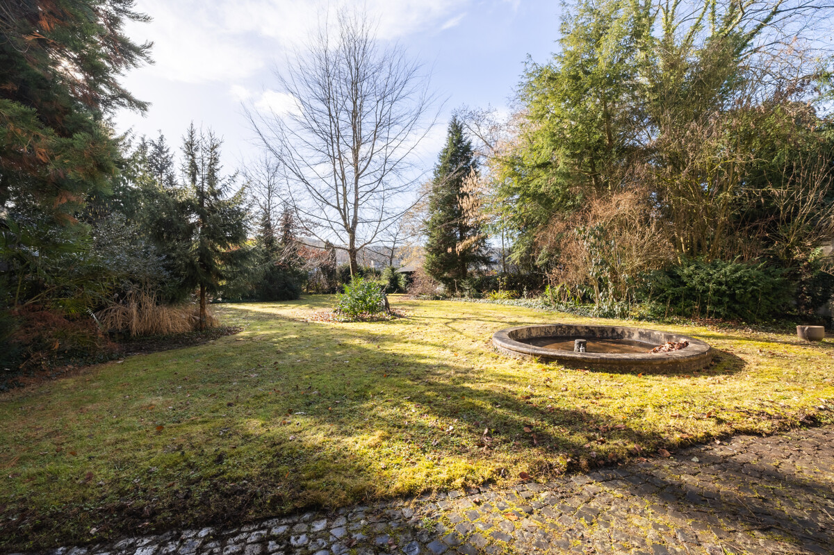 Blick in den Garten