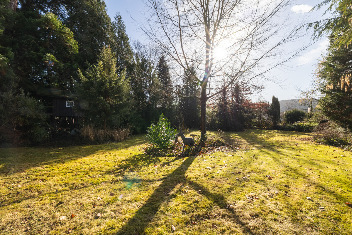 Blick in den Garten