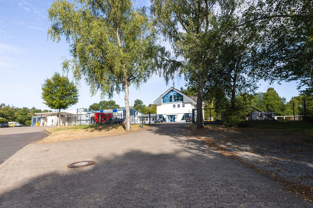 Freifläche