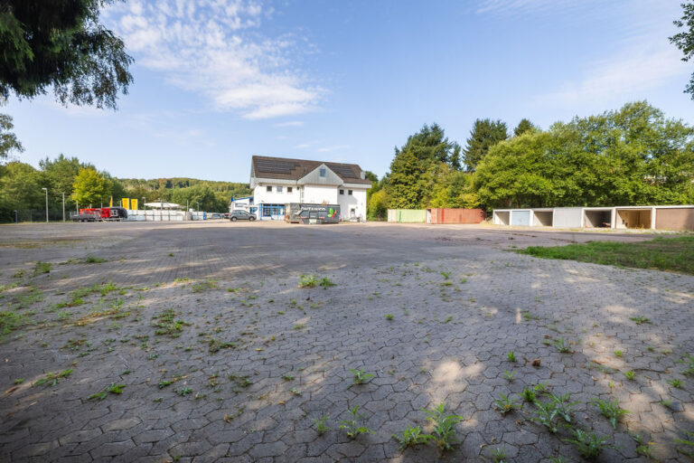 Freifläche