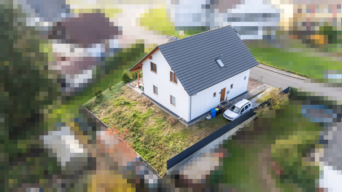 Blick in den Garten